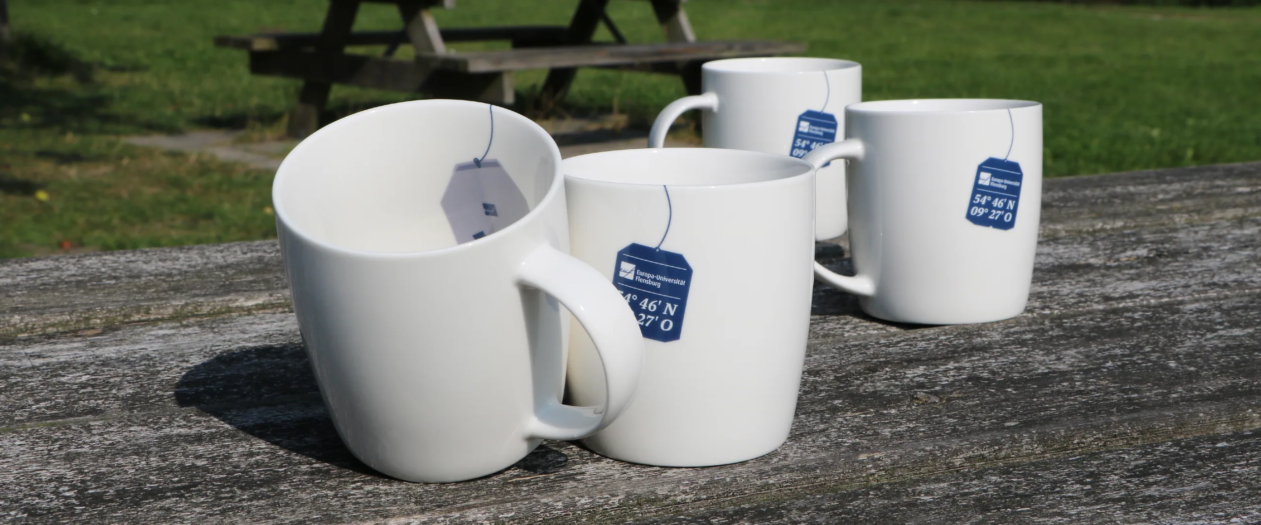 Uni Flensburg Accessoires, Flensburg Uni Geschenke, EU Flensburg Merchandise